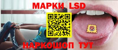 гидра Будённовск