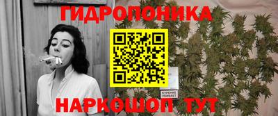 гидра Будённовск