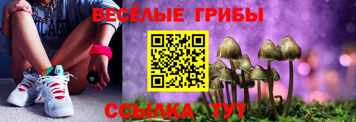 Искитим  купить наркотики цена  Вход с VPN  Псилоцибиновые грибы Psilocybe 
